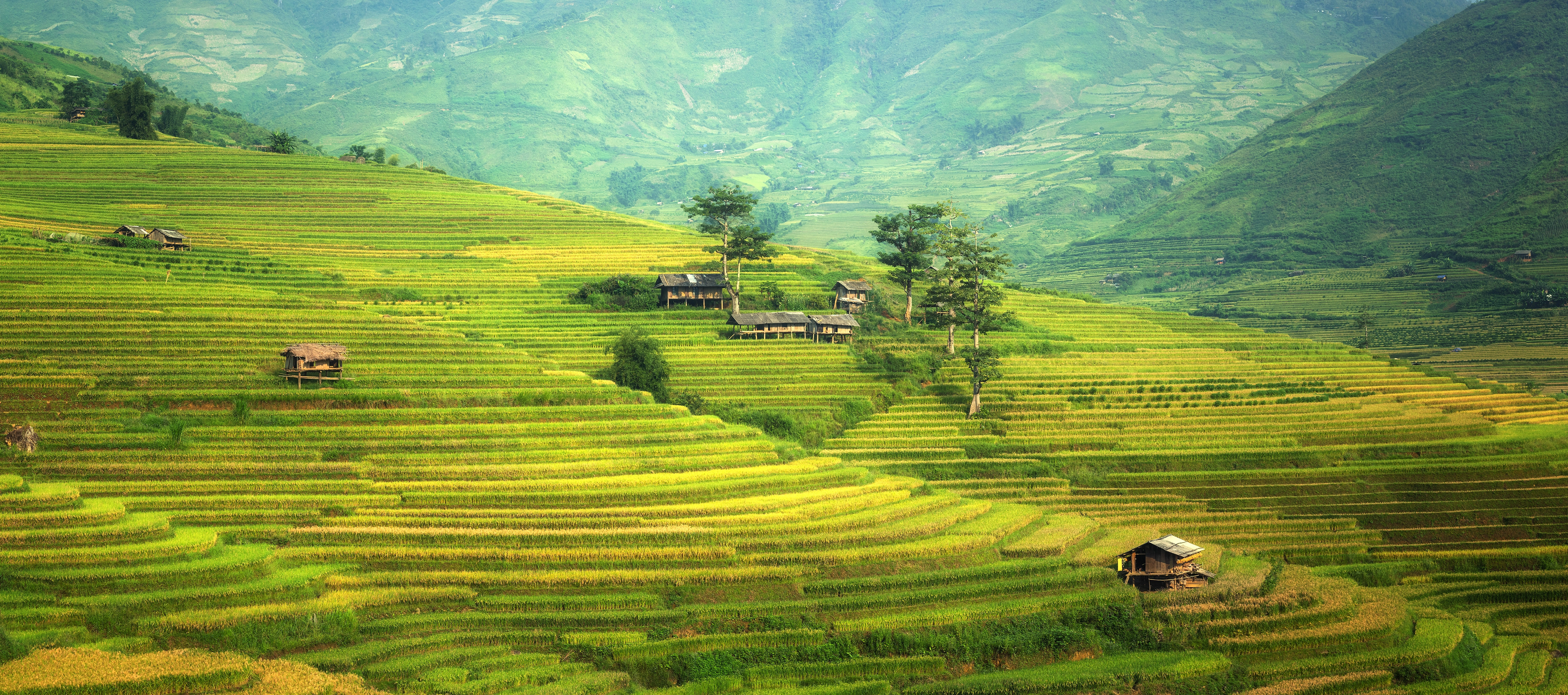 Agricultural Land Measurement